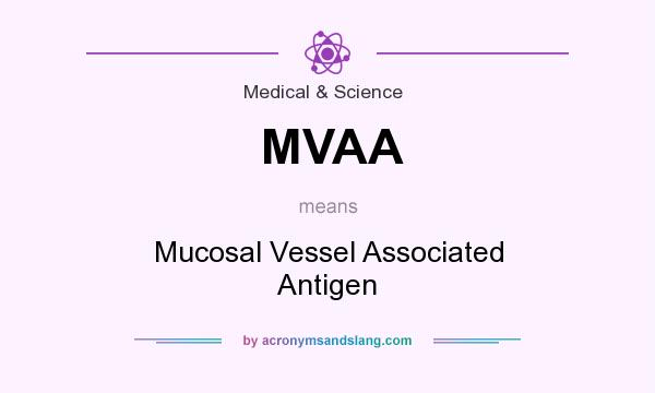 What does MVAA mean? It stands for Mucosal Vessel Associated Antigen
