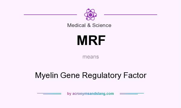 What does MRF mean? It stands for Myelin Gene Regulatory Factor