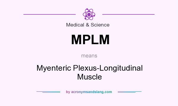 What does MPLM mean? It stands for Myenteric Plexus-Longitudinal Muscle