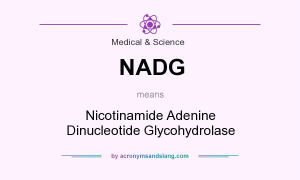 What does NADG mean? It stands for Nicotinamide Adenine Dinucleotide Glycohydrolase