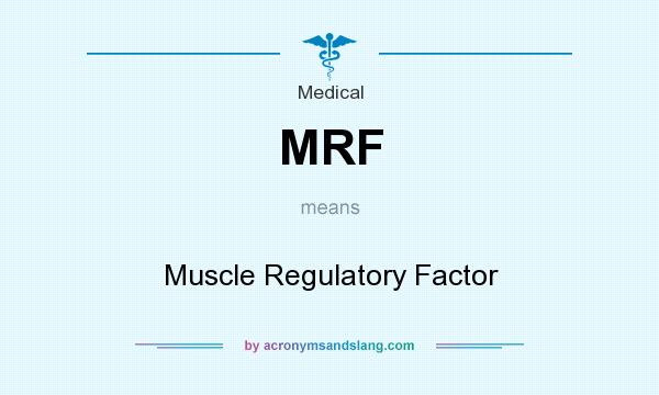 What does MRF mean? It stands for Muscle Regulatory Factor