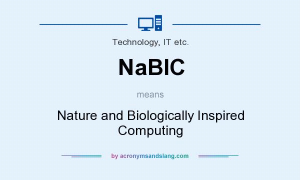 What does NaBIC mean? It stands for Nature and Biologically Inspired Computing