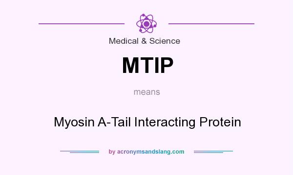 What does MTIP mean? It stands for Myosin A-Tail Interacting Protein