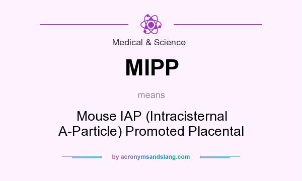 What does MIPP mean? It stands for Mouse IAP (Intracisternal A-Particle) Promoted Placental