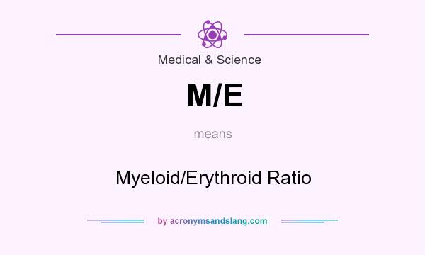What does M/E mean? It stands for Myeloid/Erythroid Ratio