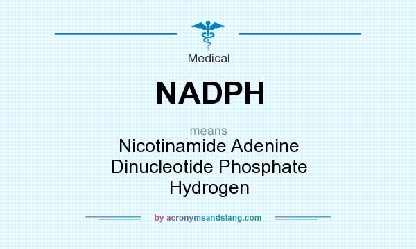 What does NADPH mean? It stands for Nicotinamide Adenine Dinucleotide Phosphate Hydrogen