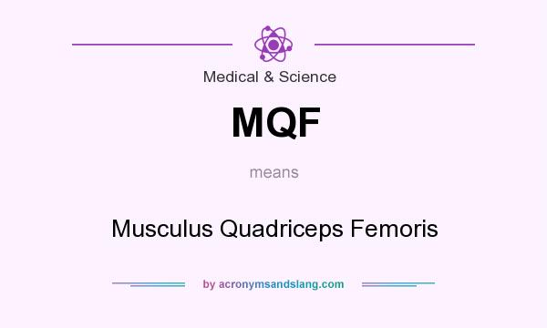 What does MQF mean? It stands for Musculus Quadriceps Femoris