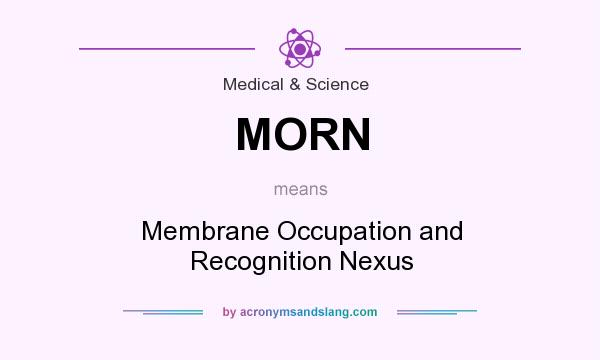 What does MORN mean? It stands for Membrane Occupation and Recognition Nexus