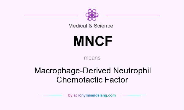 What does MNCF mean? It stands for Macrophage-Derived Neutrophil Chemotactic Factor