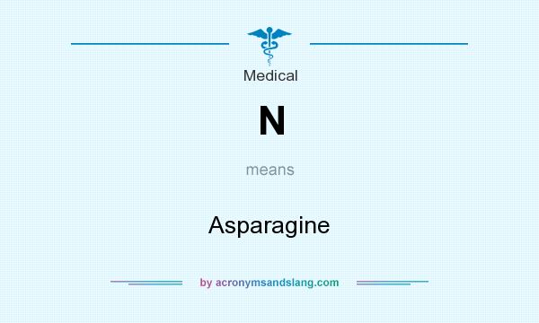 What does N mean? It stands for Asparagine
