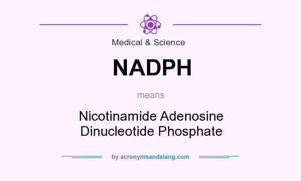 What does NADPH mean? It stands for Nicotinamide Adenosine Dinucleotide Phosphate