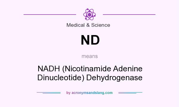 What does ND mean? It stands for NADH (Nicotinamide Adenine Dinucleotide) Dehydrogenase
