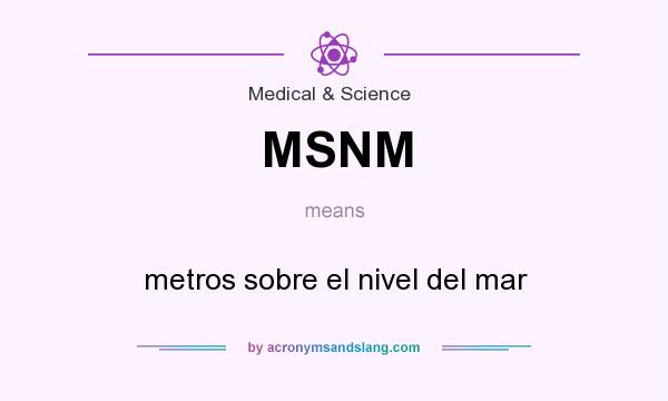 What does MSNM mean? It stands for metros sobre el nivel del mar