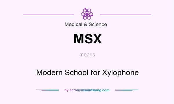 What does MSX mean? It stands for Modern School for Xylophone