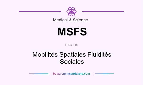 What does MSFS mean? It stands for Mobilités Spatiales Fluidités Sociales