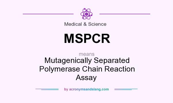 What does MSPCR mean? It stands for Mutagenically Separated Polymerase Chain Reaction Assay