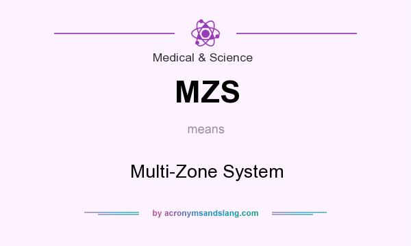 What does MZS mean? It stands for Multi-Zone System