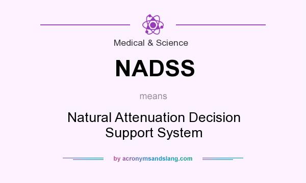 What does NADSS mean? It stands for Natural Attenuation Decision Support System