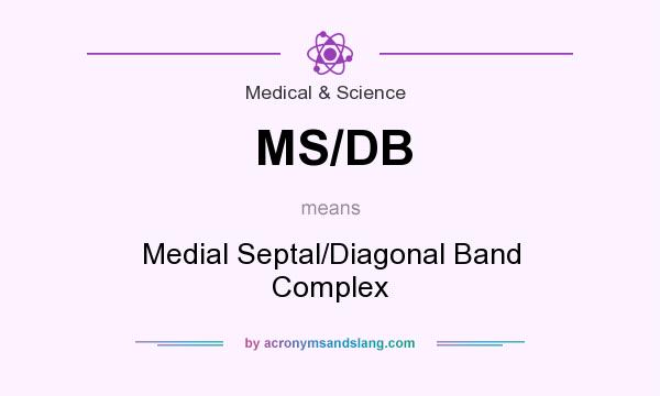 What does MS/DB mean? It stands for Medial Septal/Diagonal Band Complex