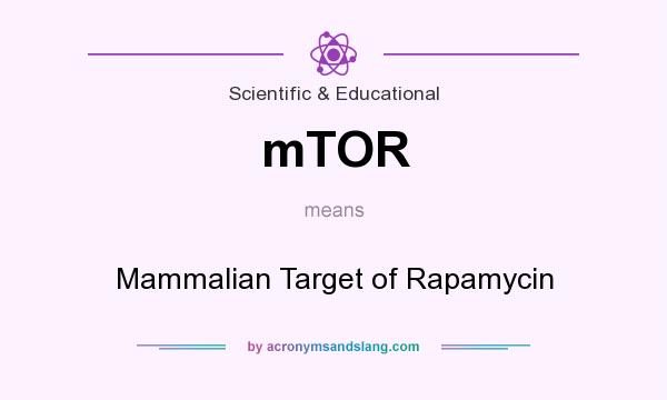 What does mTOR mean? It stands for Mammalian Target of Rapamycin