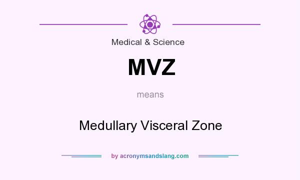 What does MVZ mean? It stands for Medullary Visceral Zone