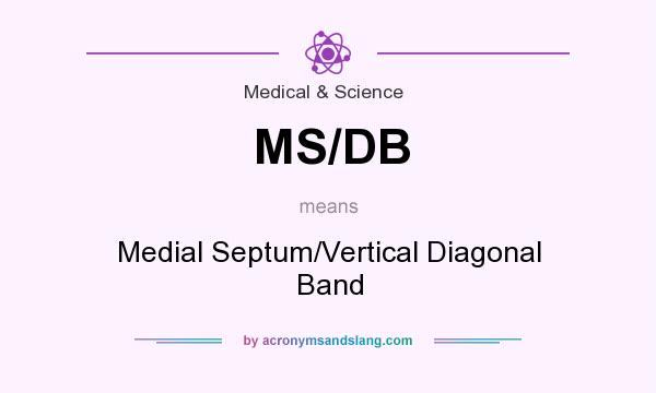 What does MS/DB mean? It stands for Medial Septum/Vertical Diagonal Band