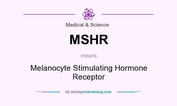 What does MSHR mean? It stands for Melanocyte Stimulating Hormone Receptor