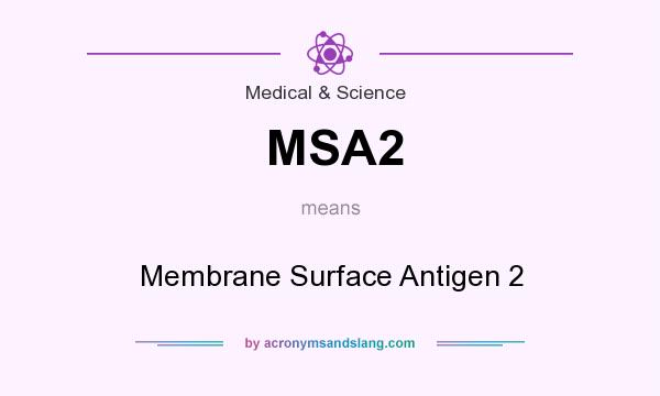 What does MSA2 mean? It stands for Membrane Surface Antigen 2