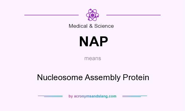 What does NAP mean? It stands for Nucleosome Assembly Protein