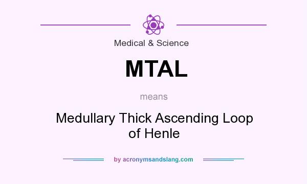 What does MTAL mean? It stands for Medullary Thick Ascending Loop of Henle