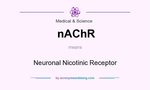 What does nAChR mean? It stands for Neuronal Nicotinic Receptor