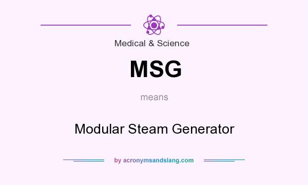 What does MSG mean? It stands for Modular Steam Generator