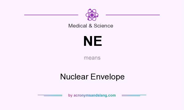 What does NE mean? It stands for Nuclear Envelope