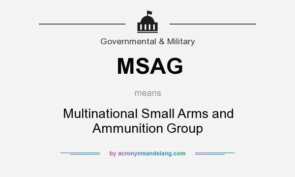 What does MSAG mean? It stands for Multinational Small Arms and Ammunition Group