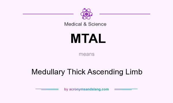 What does MTAL mean? It stands for Medullary Thick Ascending Limb