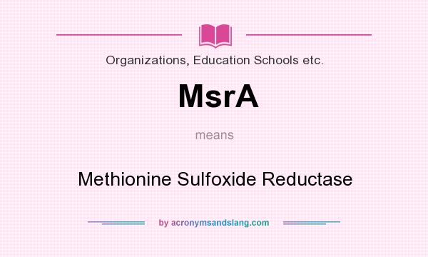 What does MsrA mean? It stands for Methionine Sulfoxide Reductase