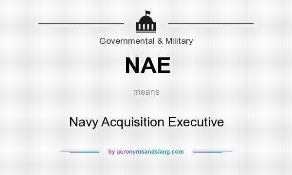 What does NAE mean? It stands for Navy Acquisition Executive