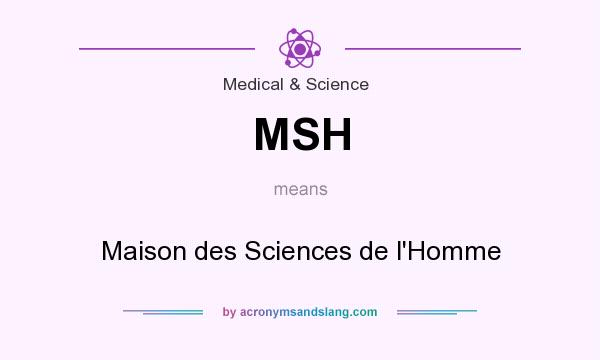 What does MSH mean? It stands for Maison des Sciences de l`Homme