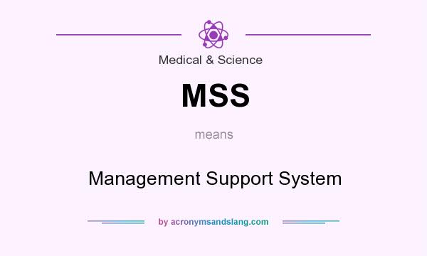 What does MSS mean? It stands for Management Support System