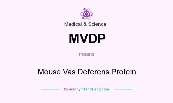 What does MVDP mean? It stands for Mouse Vas Deferens Protein