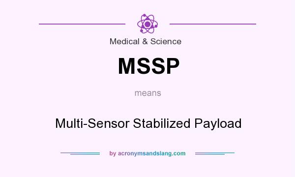 What does MSSP mean? It stands for Multi-Sensor Stabilized Payload