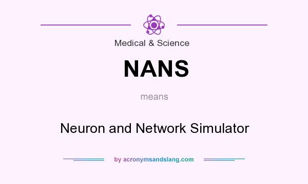 What does NANS mean? It stands for Neuron and Network Simulator