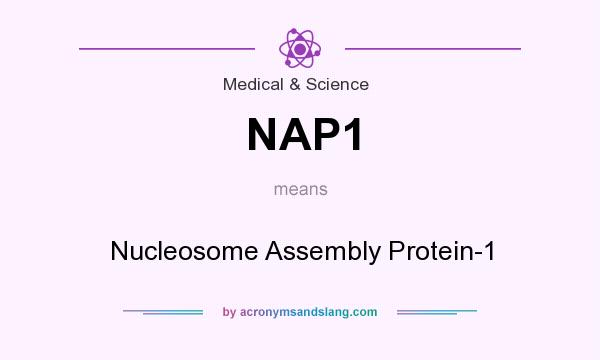 What does NAP1 mean? It stands for Nucleosome Assembly Protein-1