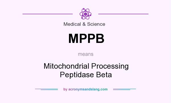 What does MPPB mean? It stands for Mitochondrial Processing Peptidase Beta
