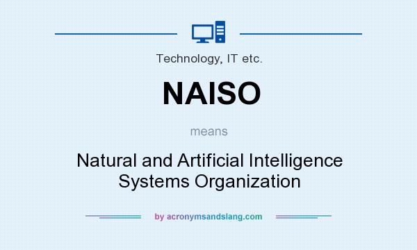 What does NAISO mean? It stands for Natural and Artificial Intelligence Systems Organization