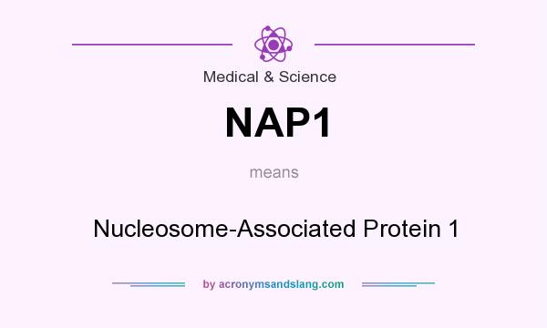 What does NAP1 mean? It stands for Nucleosome-Associated Protein 1
