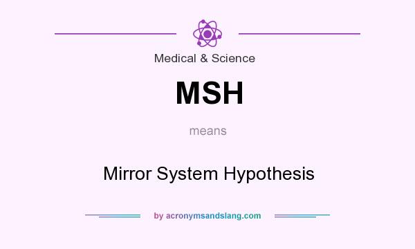 What does MSH mean? It stands for Mirror System Hypothesis