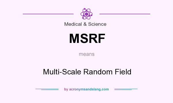 What does MSRF mean? It stands for Multi-Scale Random Field