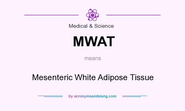 What does MWAT mean? It stands for Mesenteric White Adipose Tissue