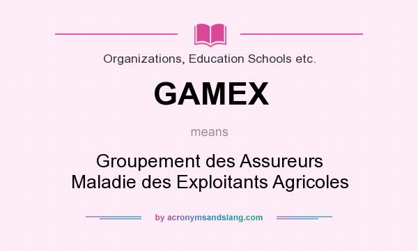 What does GAMEX mean? It stands for Groupement des Assureurs Maladie des Exploitants Agricoles